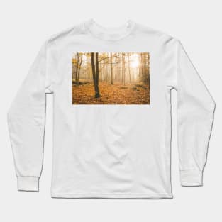 Foggy morning autumn forest Long Sleeve T-Shirt